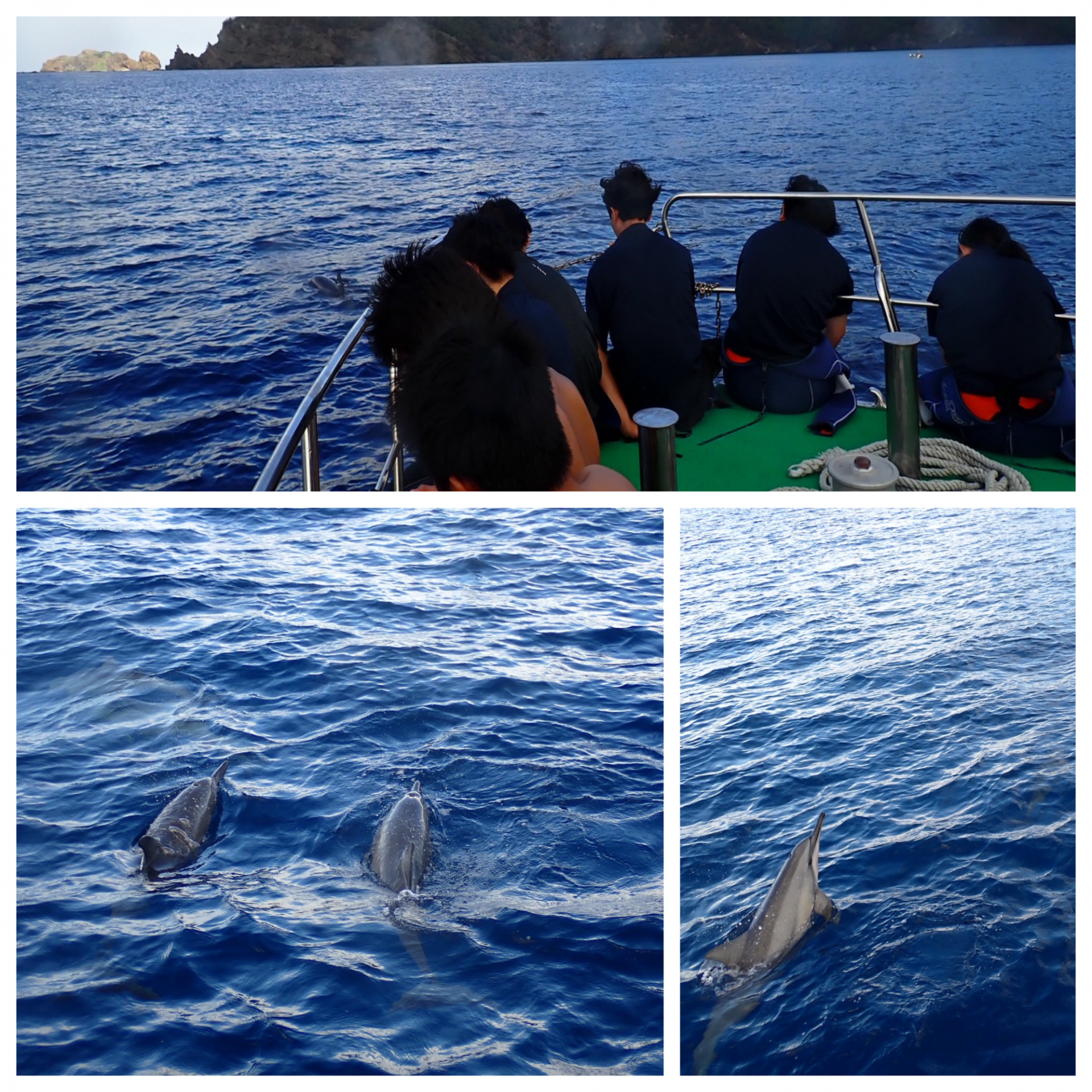 Blank 3 Grids Collage - 2025-10-24T201618.426